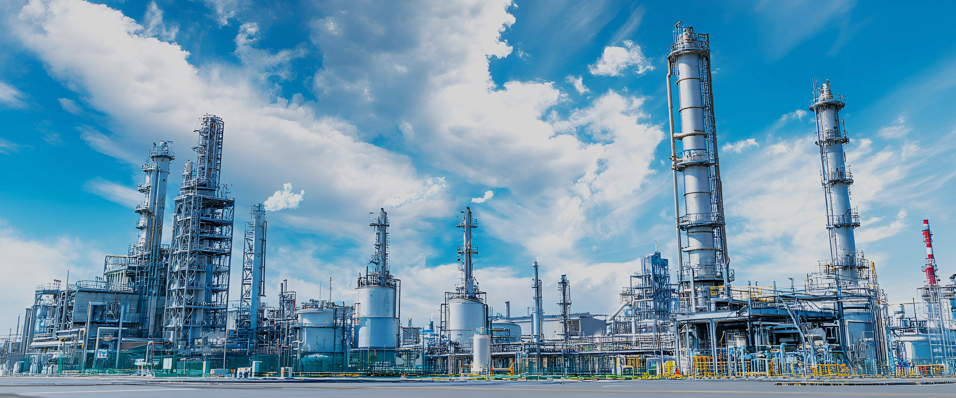 新程共赴，拓路同行